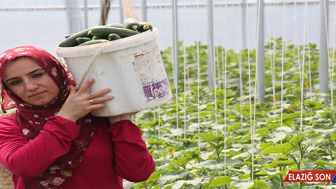 3 Çocuk Annesi Kendi İşinin Patronu Oldu