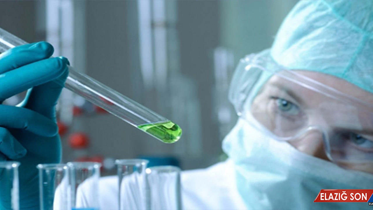 Akciğerin özelliklerini taklit eden organoidler geliştirildi