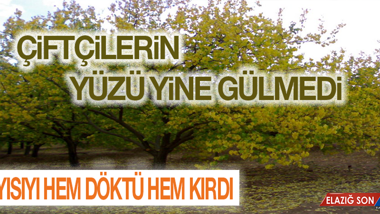 Ceviz Büyüklüğündeki Dolu, Bahçelere Zarar Verdi