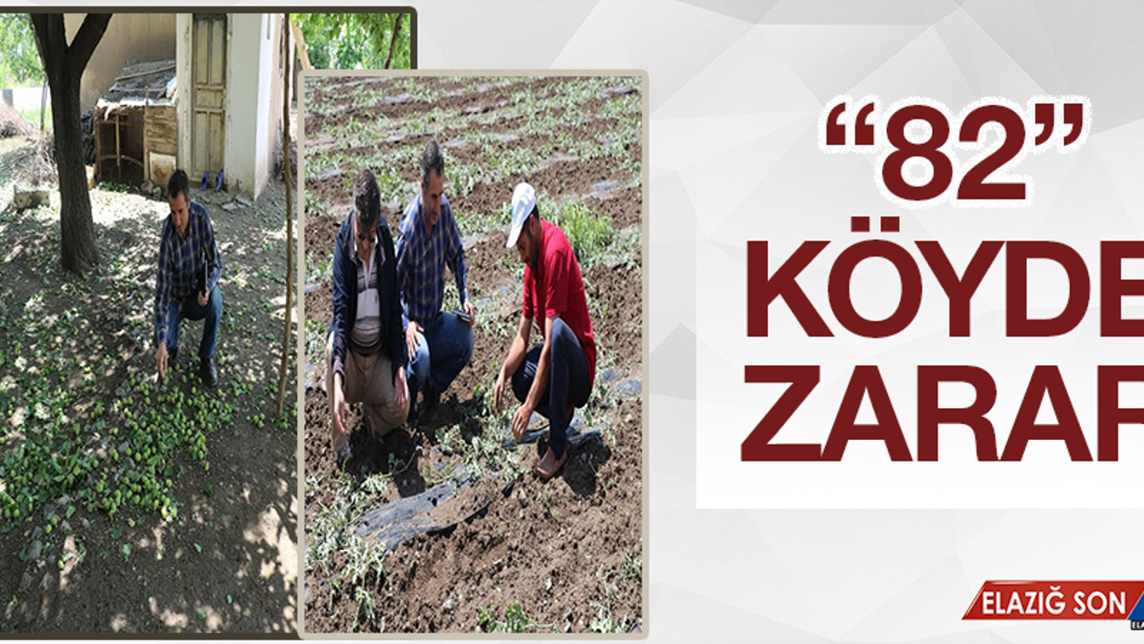 Dolu Elazığ’da Büyük Zarara Yol Açtı