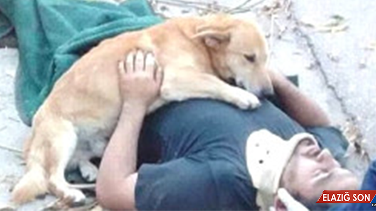 Sahibine Böyle Sarıldı, Sosyal Medya Fenomeni Oldu