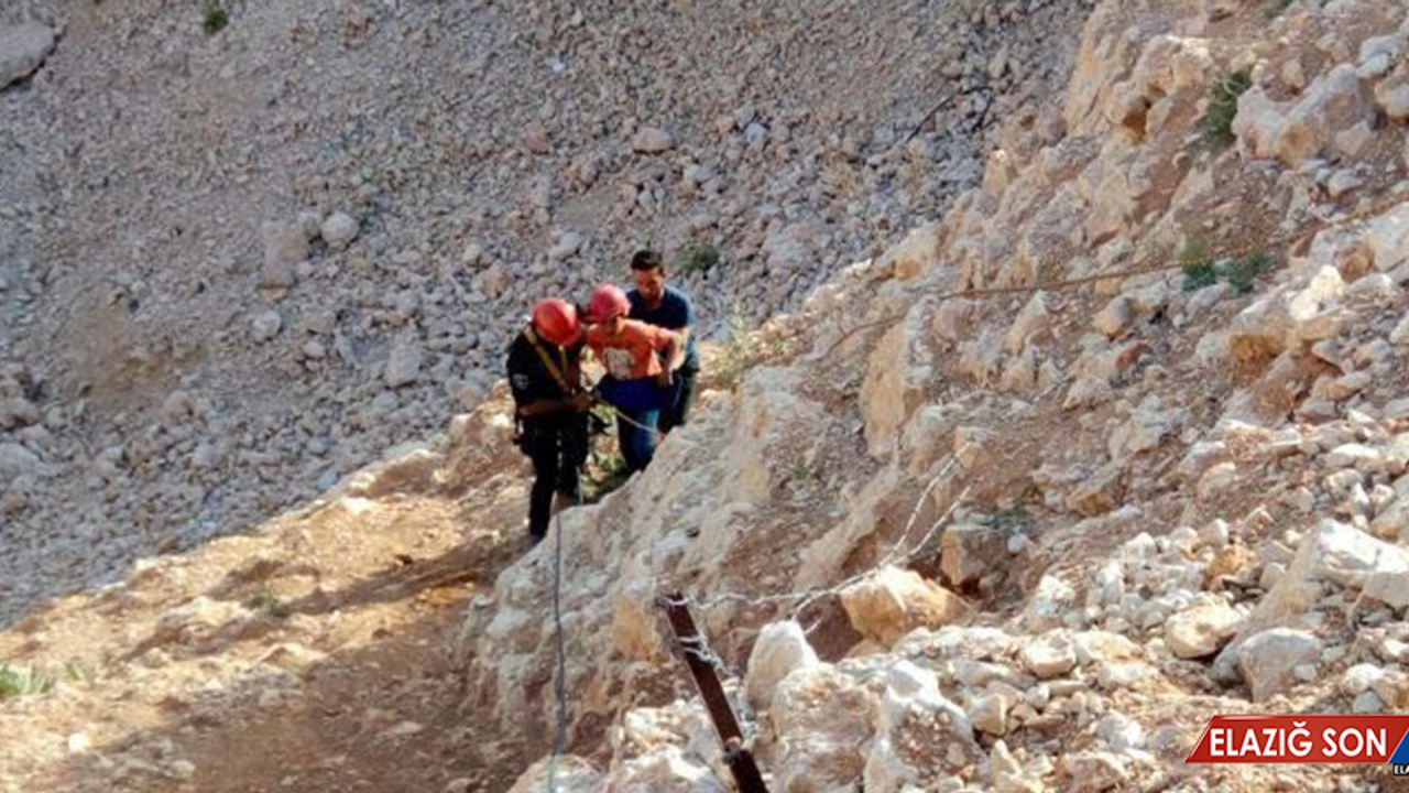 Topunu Almak İstedi, Kayalıklarda Mahsur Kaldı