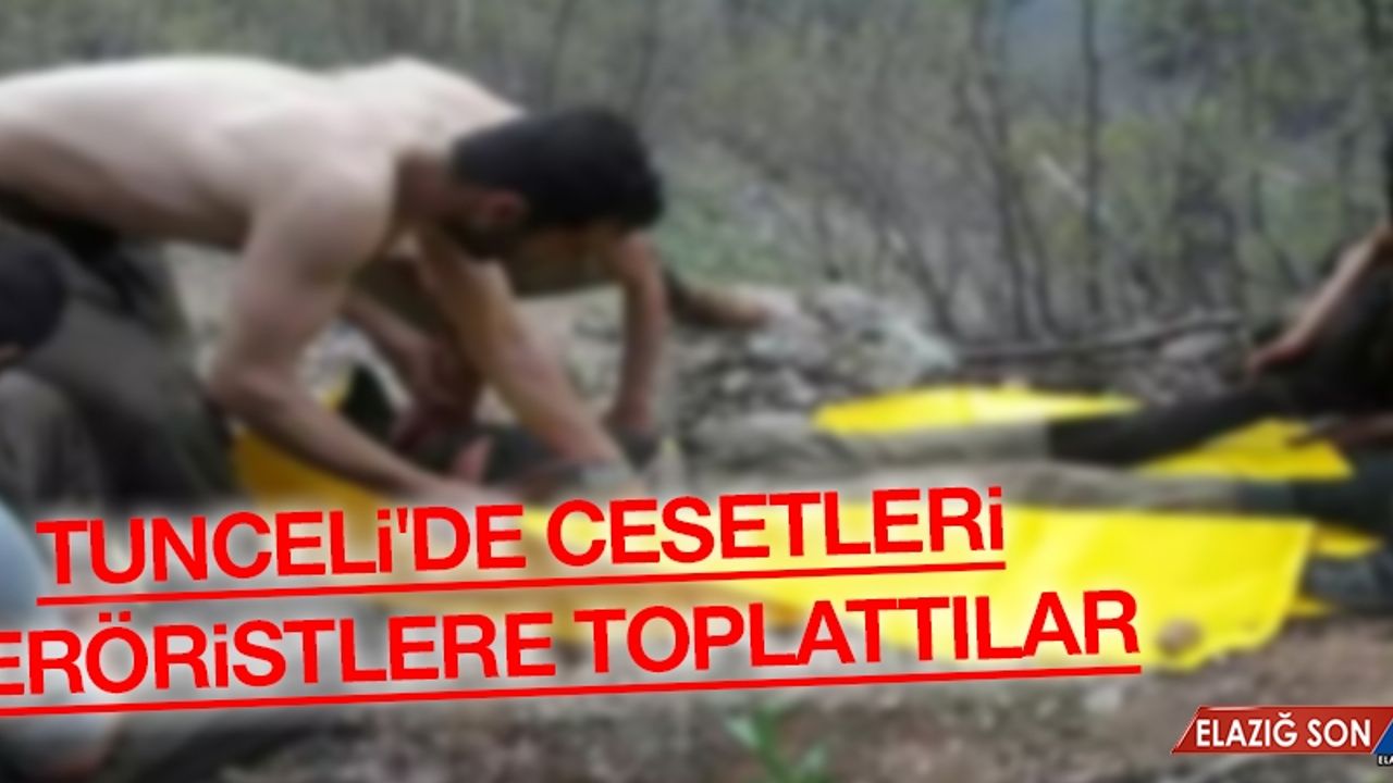 Tunceli'de Cesetleri Teröristler Topladı