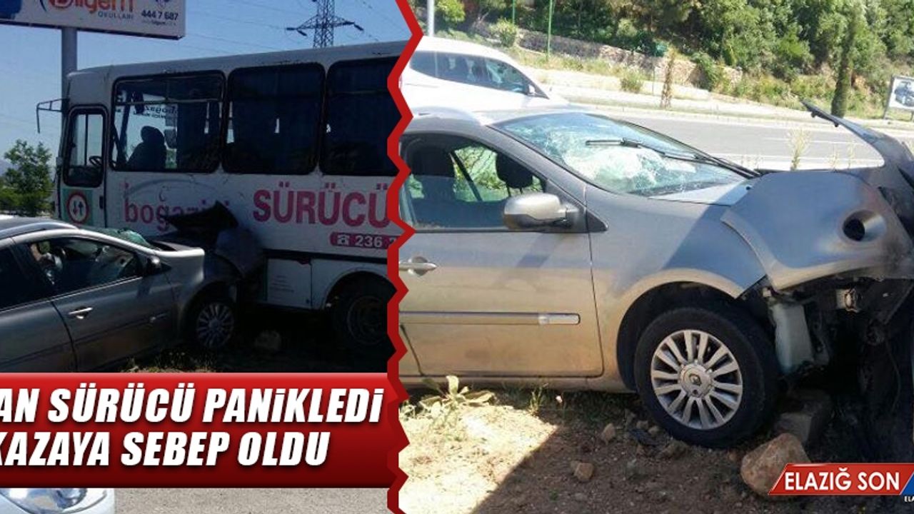 Bayan Sürücü Panikledi Kazaya Sebep Oldu