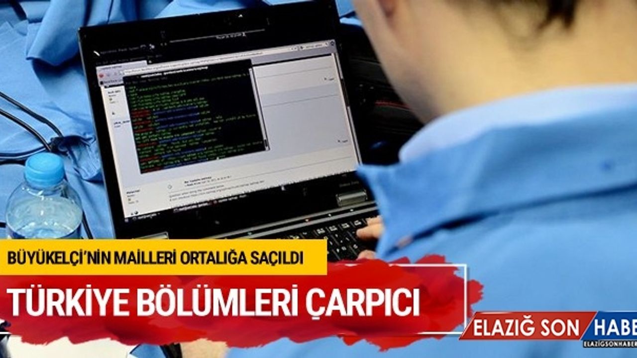 Büyükelçinin mailleri hacklendi Türkiye postaları sarstı