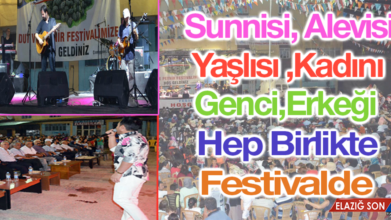 Çemişgezek'te 17. Dut ve Peynir Festivali