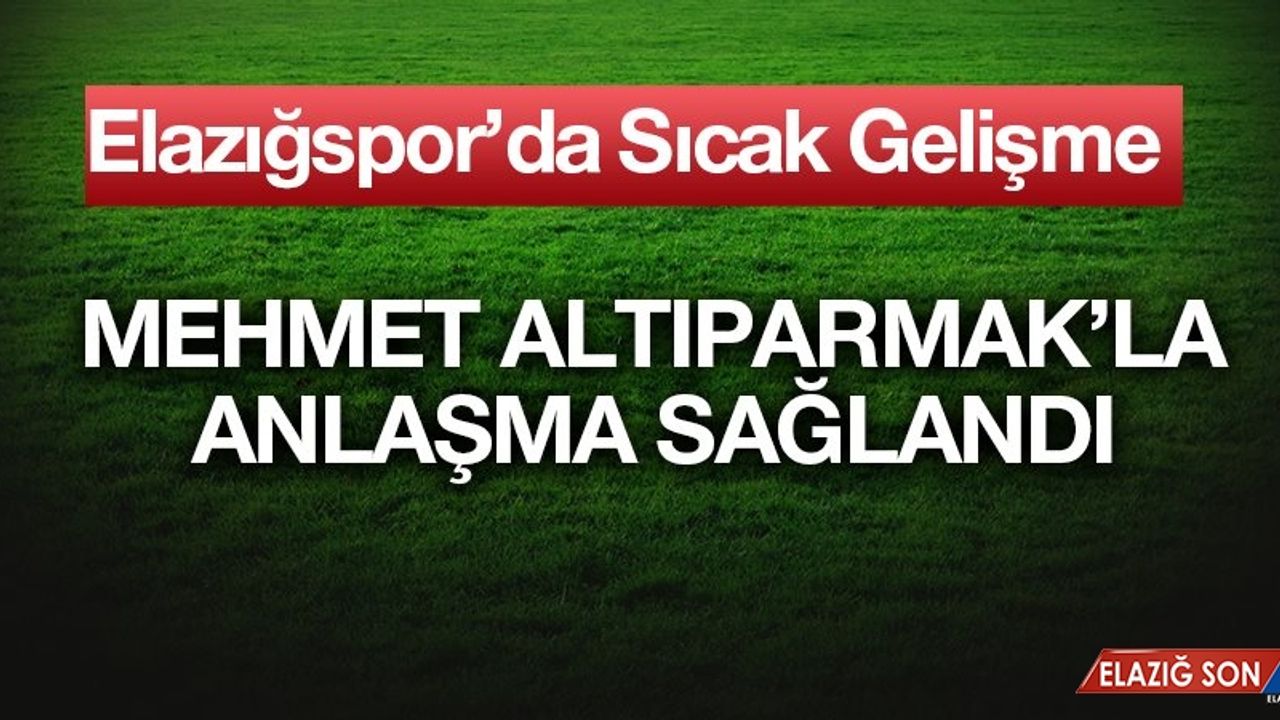 Elazığspor Teknik Direktörünü Belirledi