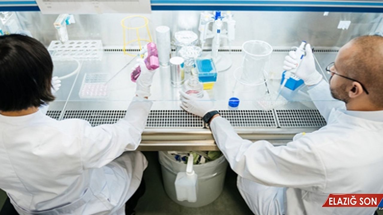 Bilim Dünyası Yine Bir İlke İmza Attı