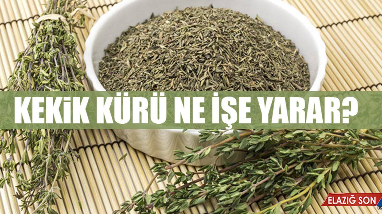Diş Eti Çekilmesini Engelleyen Kekik Kürünü Keşfedin