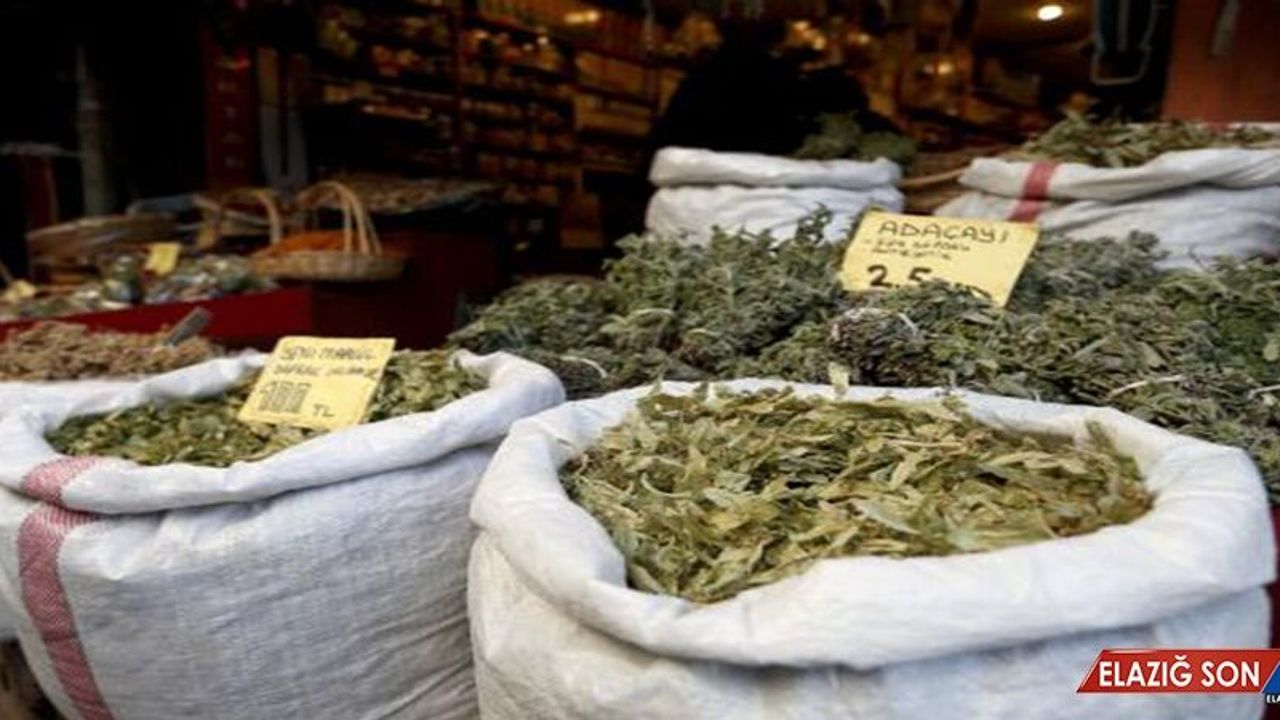 Kış Çayı Nasıl Demlenir, Gribe Ne İyi Gelir? Bitki Çayı Zararlı Mı?