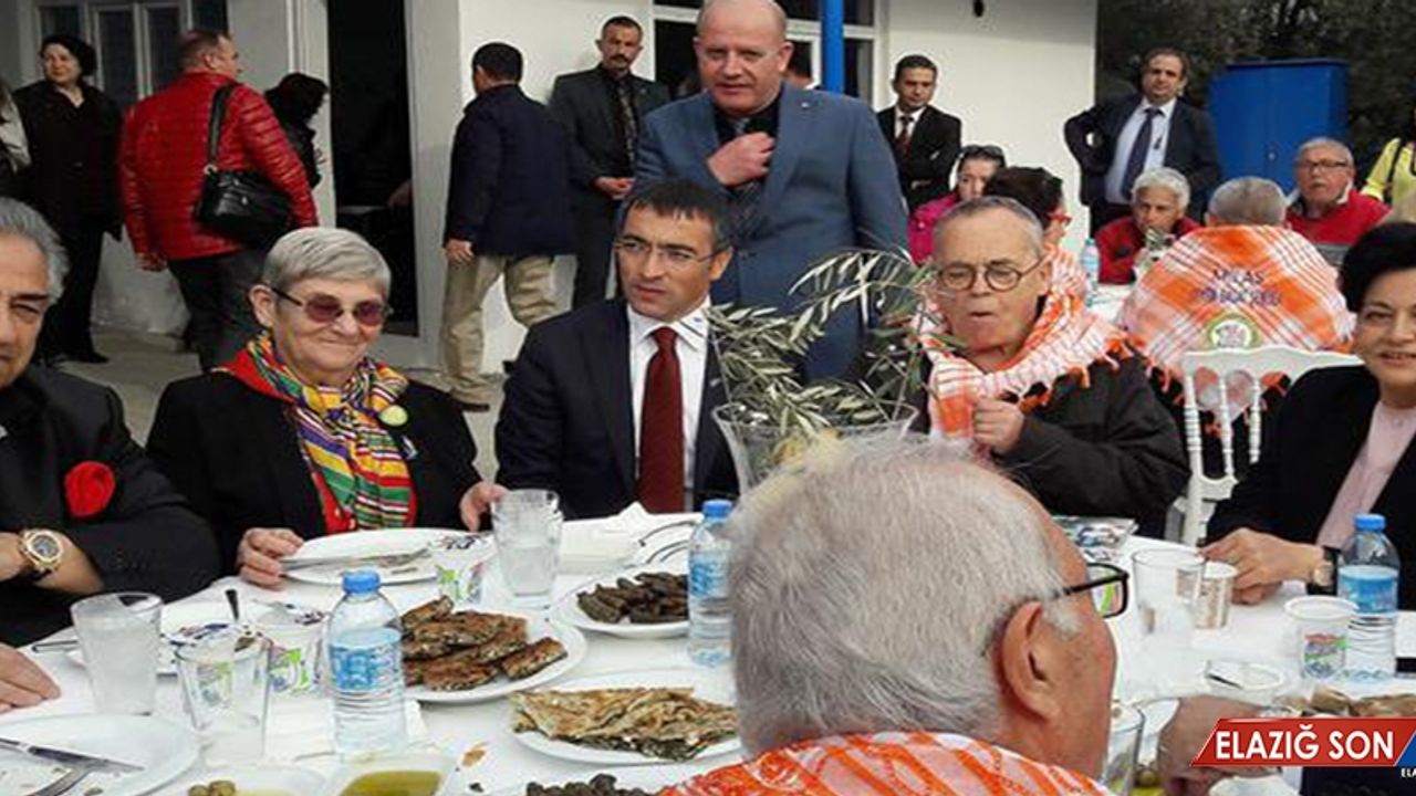 Prof. Dr. Karatay'dan Şeker Hastalığı, Bromürlü Ekmek Ve Zeytinli Tavsiyeler