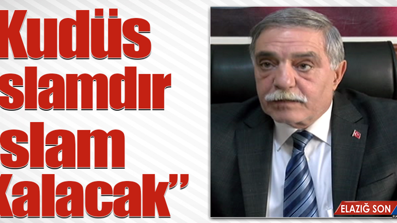 TÜRK EĞİTİM SEN ELAZIĞ ŞUBESİ TALAT EFE AÇIKLAMALARDA BULUNDU