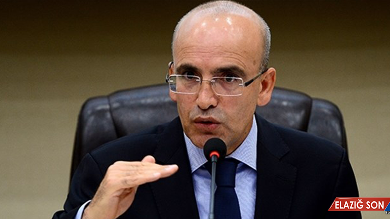 Başbakan Yardımcısı Şimşek: Afrin Operasyonu'nun Ekonomiye Etkisi Sınırlı