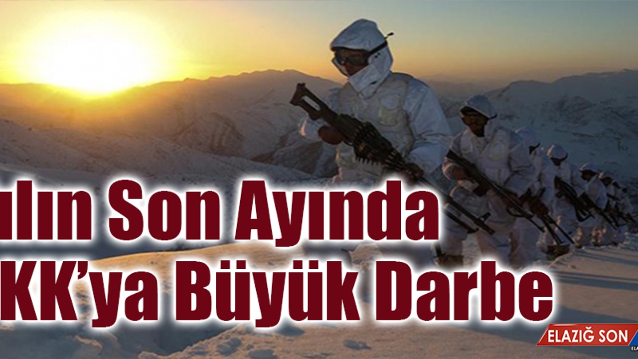 Eli kanlı Terör Örgütü PKK'ya Yılın Son Ayında Büyük Darbe İndirildi