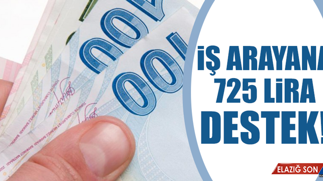 Hükümet, İş Arayana 725 Lira Destek Veriyor