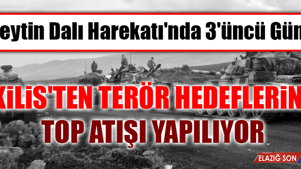 Zeytin Dalı Harekatı'nda 3'üncü Gün!