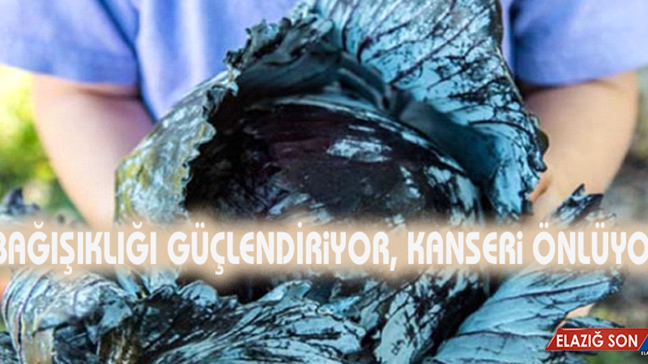 Kanseri Önlüyor, Bağışıklığı Güçlendiriyor! Karalahana Çorbasının Faydaları