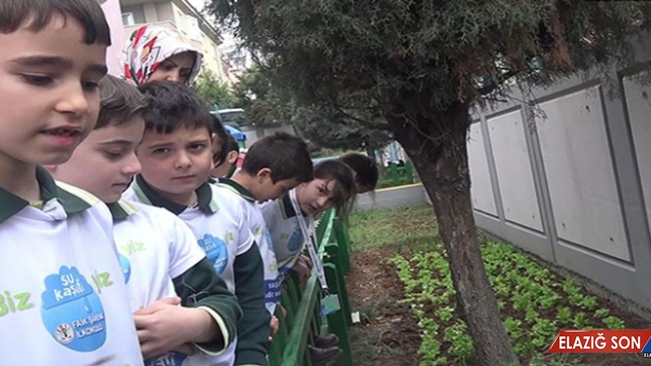 'Su Kaşifi' Projesiyle Öğrenciler Yağmur Sularını Toplayıp Sebze Yetiştirdi