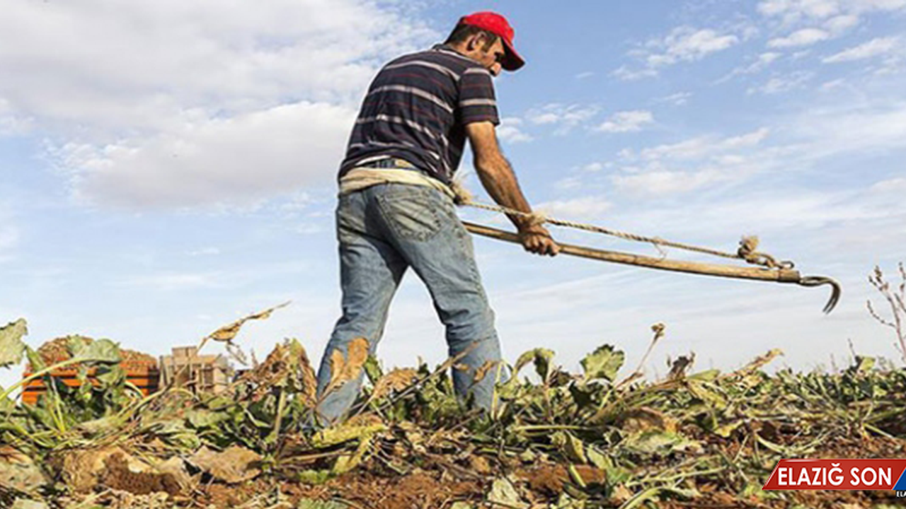 Tarım Sektörüne Destek 90 Milyar Liraya Yaklaştı