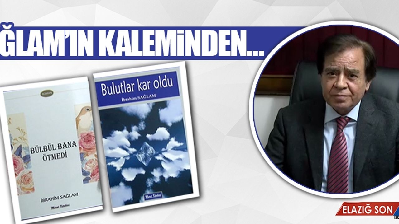 Av. İbrahim Sağlam’ın İki Kitabı Okuyucu İle Buluştu