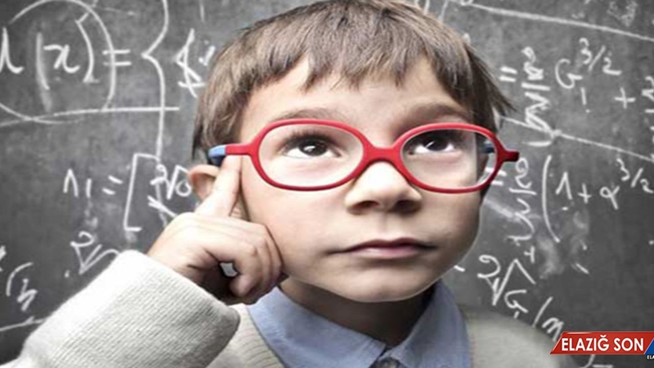 BİLSEM Sınav Sonuçları Sorgu Sayfası- 2018 Grup Tarama Sayfası