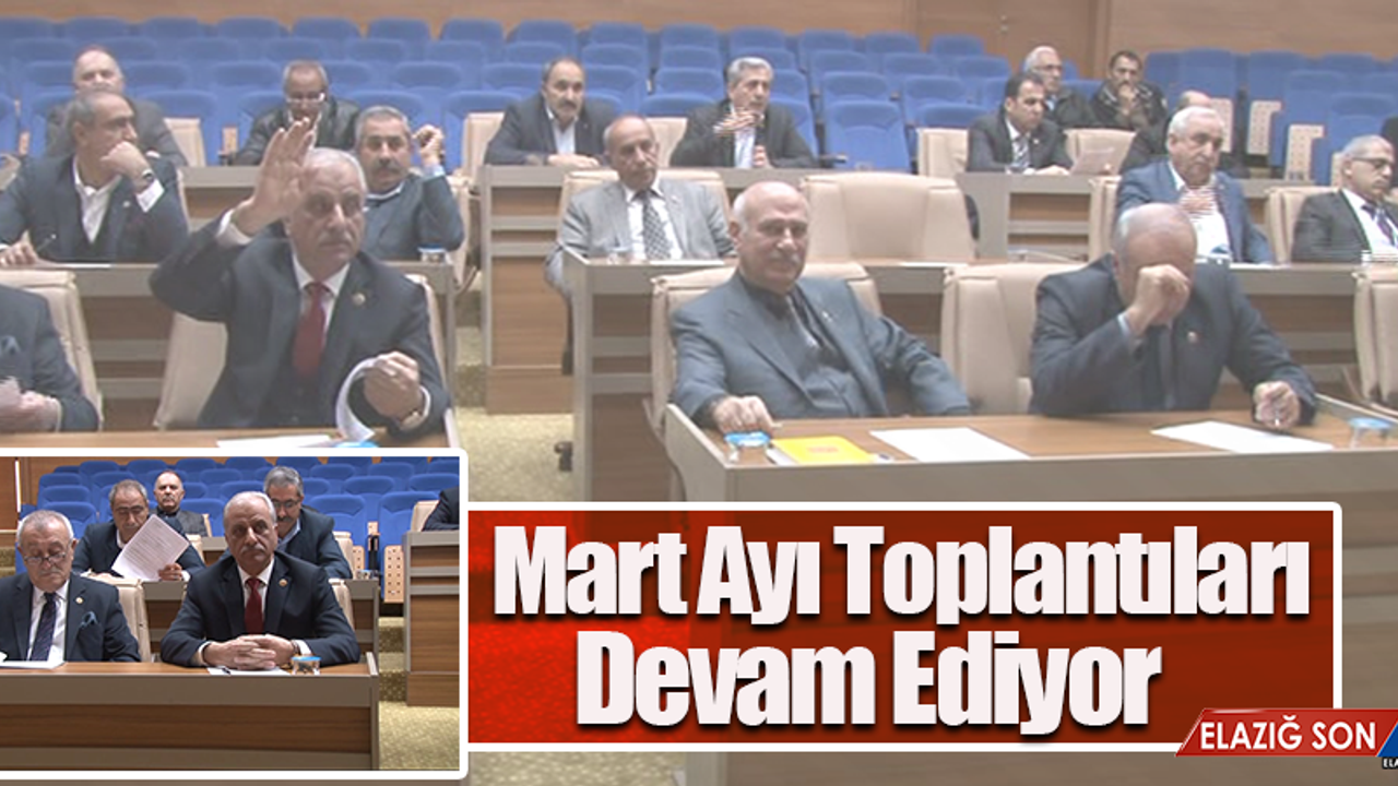 İl Genel Meclisi  Toplantıları Devam Ediyor