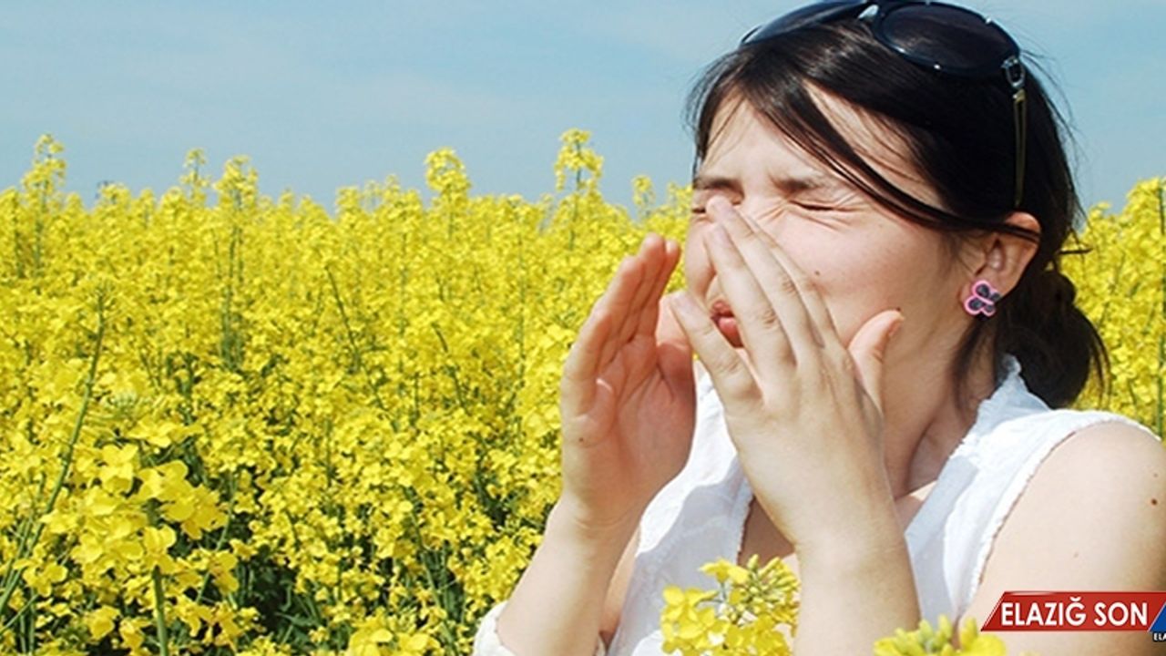 Türkiye'de 4 Kişiden Biri Alerjik Hastalığa Sahip
