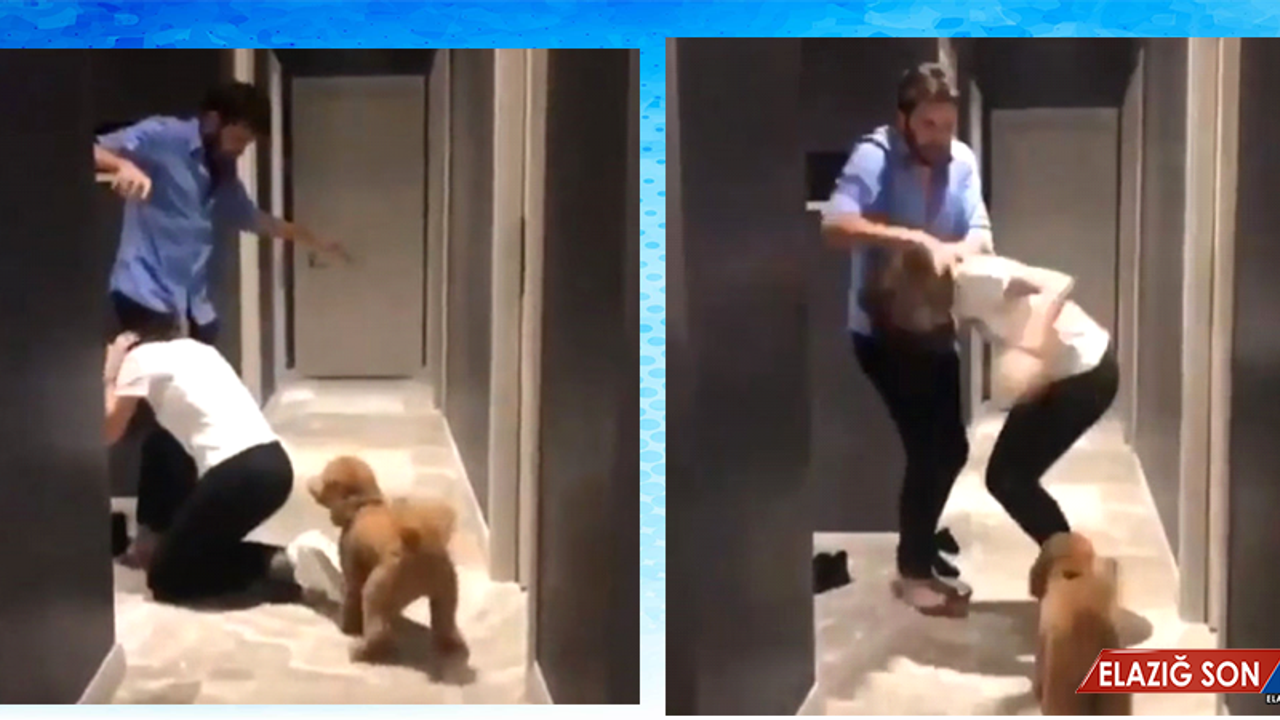 Alişan, Eşi Buse Varol'u Eleştirenlere Ateş Püskürdü