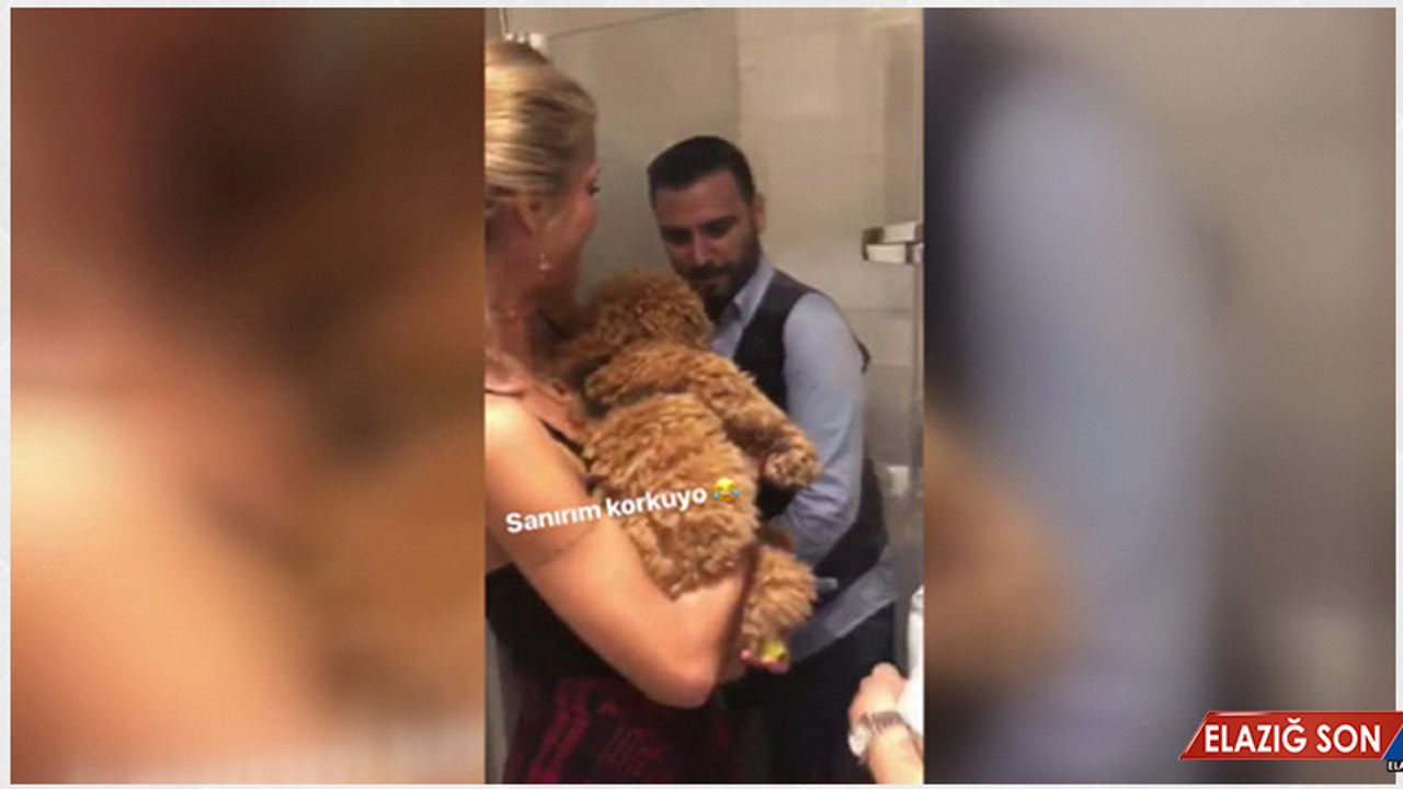Çağla Şıkel'ın Köpeğini Gören Alişan, Korkudan Duşakabine Sığındı