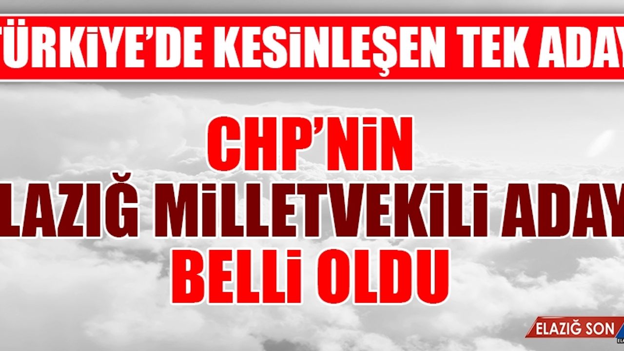 CHP'nin Elazığ Milletvekili Adayı Belli Oldu