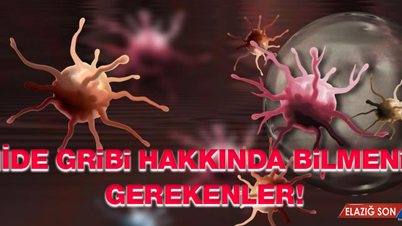 Mide gribi hakkında bilmeniz gereken 5 şey!