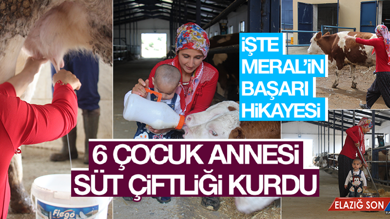 Süt Çiftliği Kuran 6 Çocuk Annesinin Başarı Hikayesi