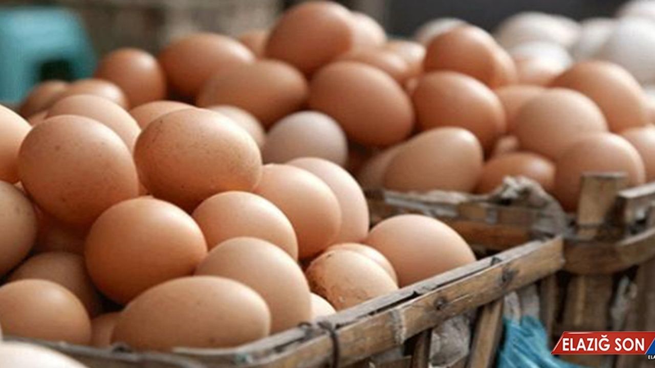 Yumurta Giren Eve Doktor Girmiyor