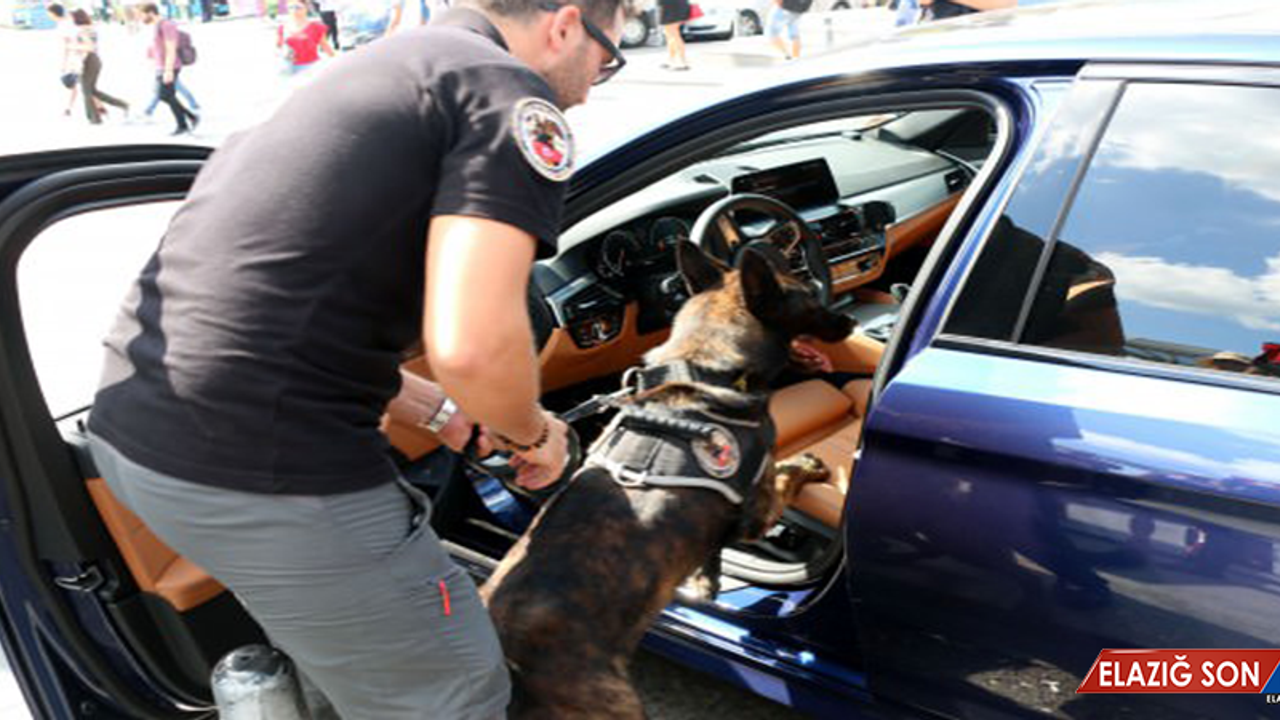 Türkiye Genelinde Eş Zamanlı Dev Operasyon!