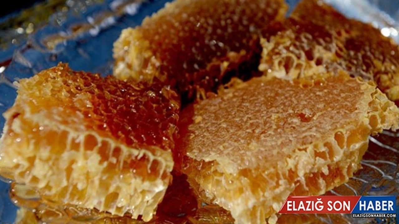 Rekolte azlığı bal ihracatını olumsuz etkiledi