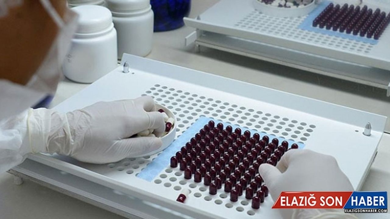 Tüm antibiyotiklere dirençli süper bakteri keşfedildi