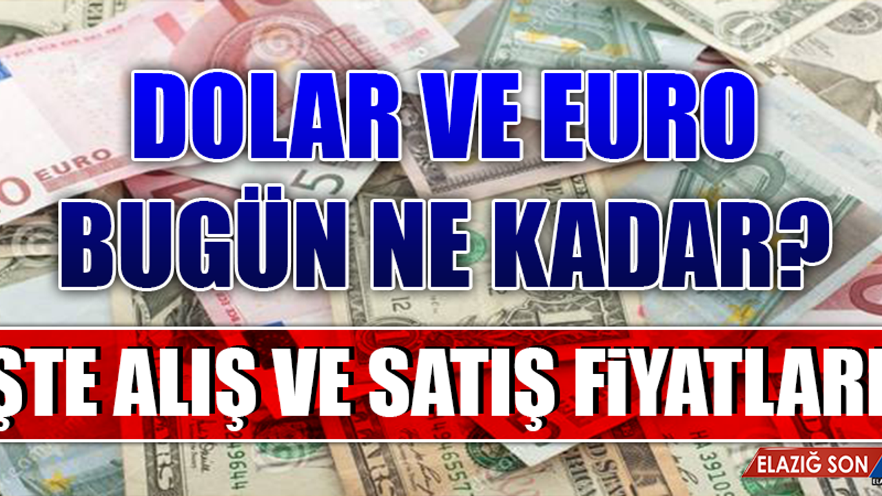 23 Kasım Dolar ve Euro Fiyatları