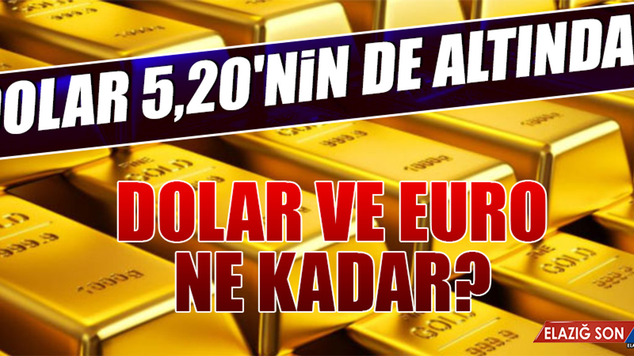 29 Kasım Dolar ve Euro Fiyatları