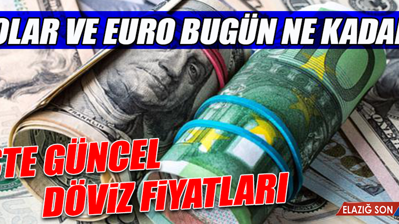 5 Kasım Dolar ve Euro Fiyatları