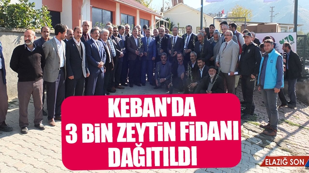 Keban'da 3 Bin Zeytin Fidanı Dağıtıldı