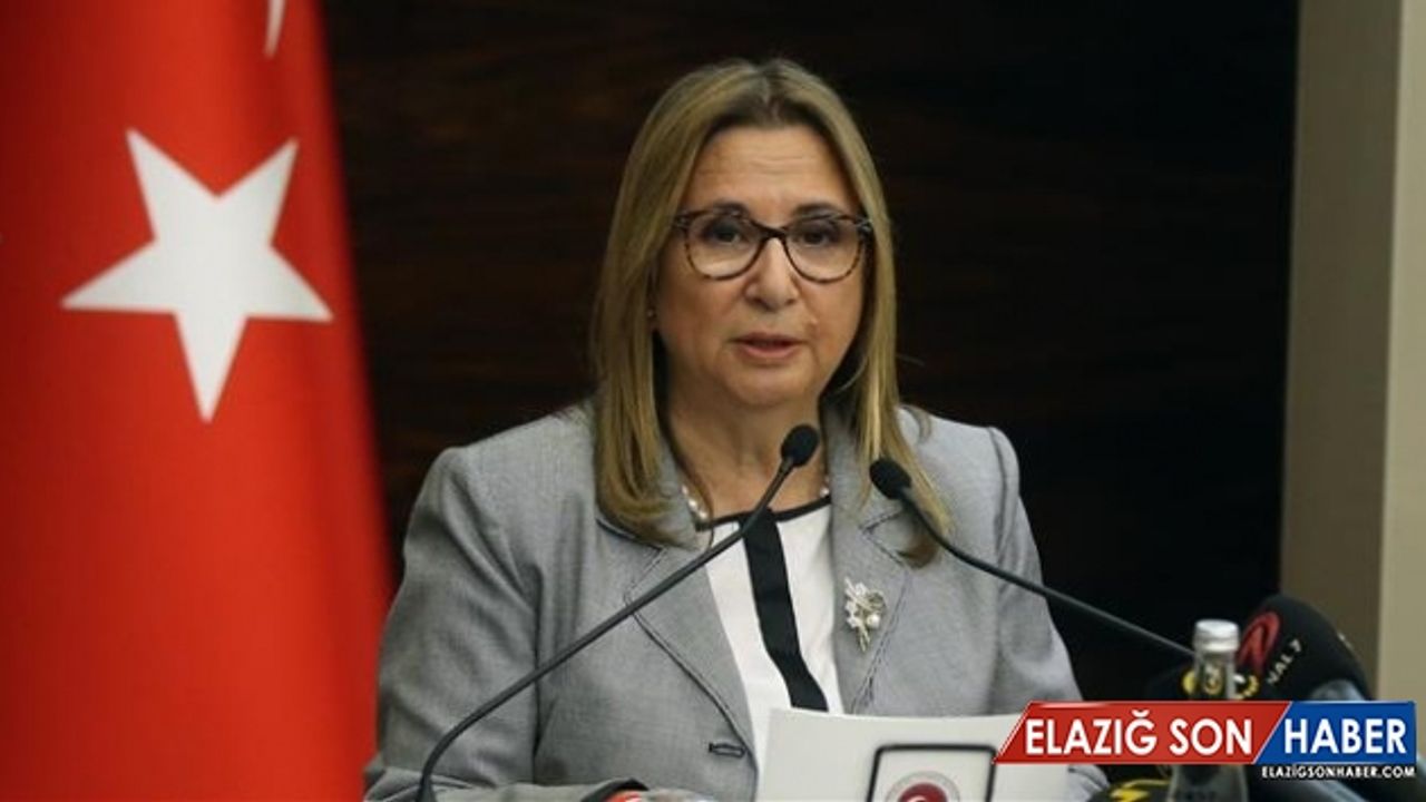 Bakan Pekcan: Hizmet ticareti fazlası 22 milyar dolar oldu