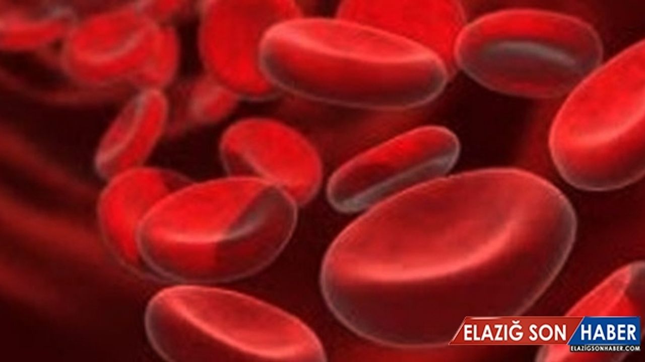 Talasemiyi önlemede yüzde 100 başarı hedefleniyor