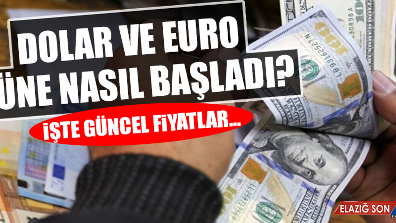 15 Ocak Dolar ve Euro Fiyatları