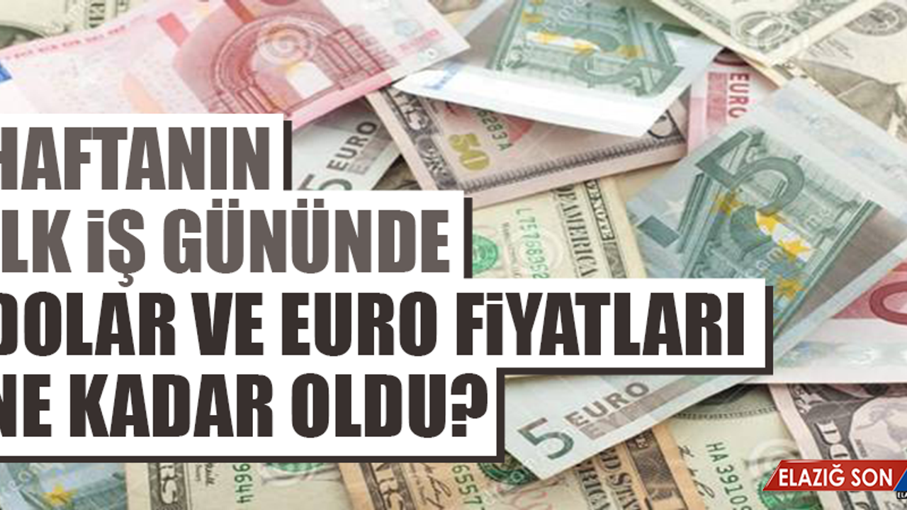 21 Ocak Dolar ve Euro Fiyatları