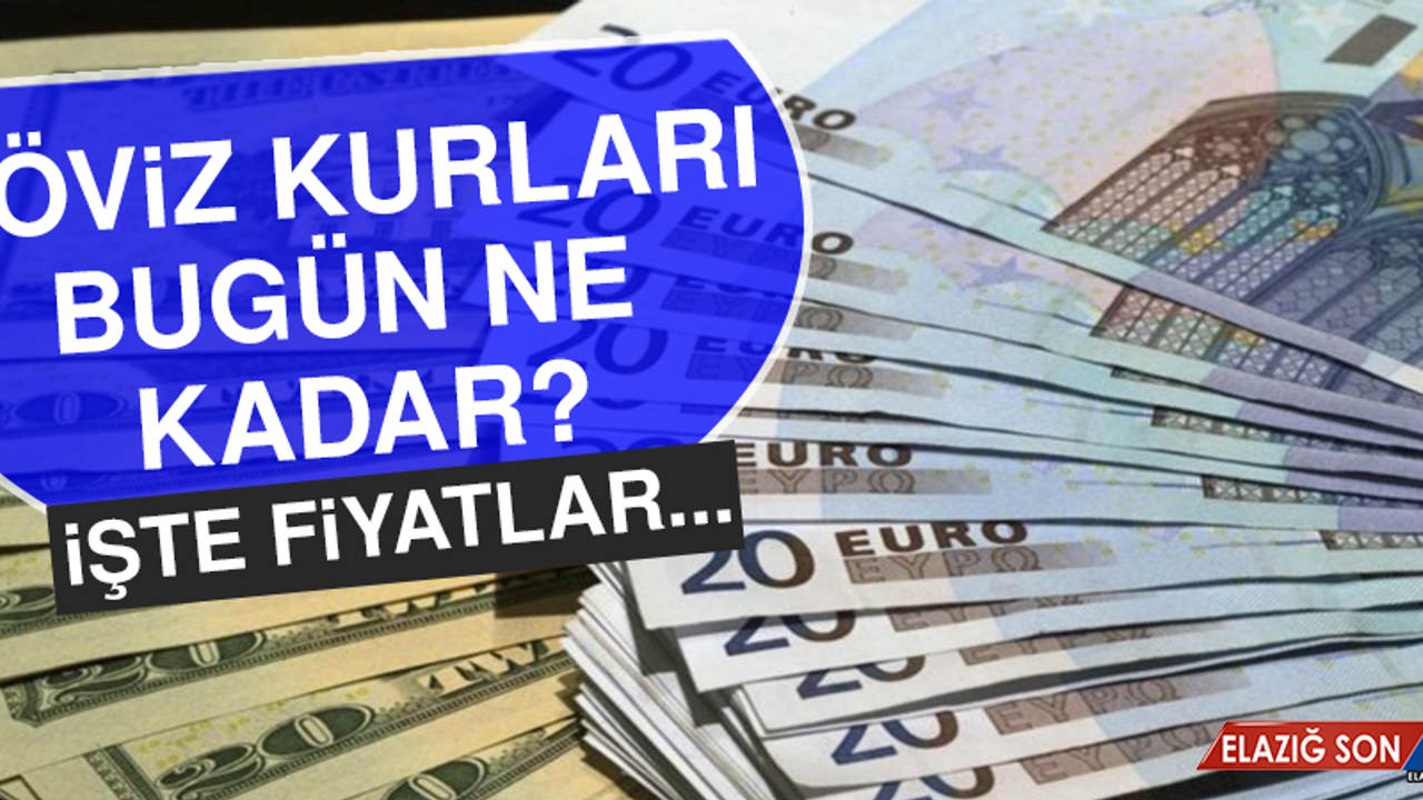29 Ocak Dolar ve Euro Fiyatları