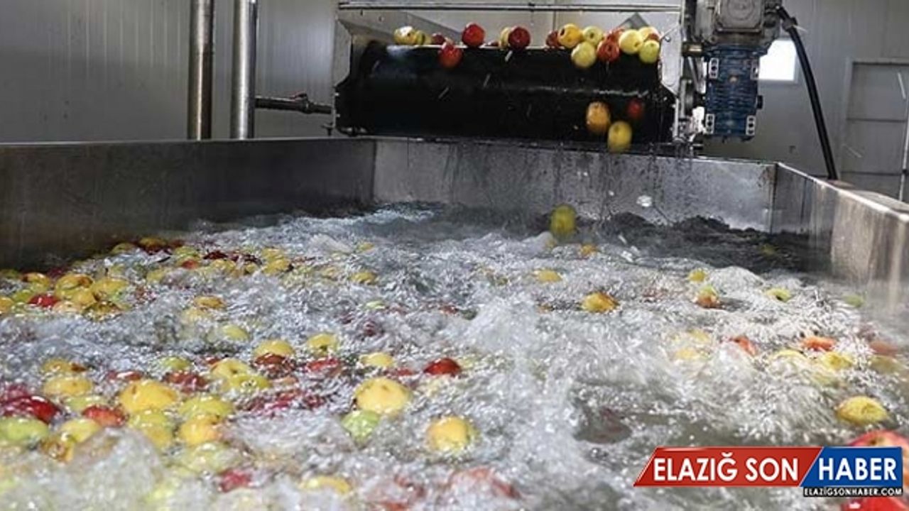 Meyve suyu ihracatı 250 milyon doları geçti