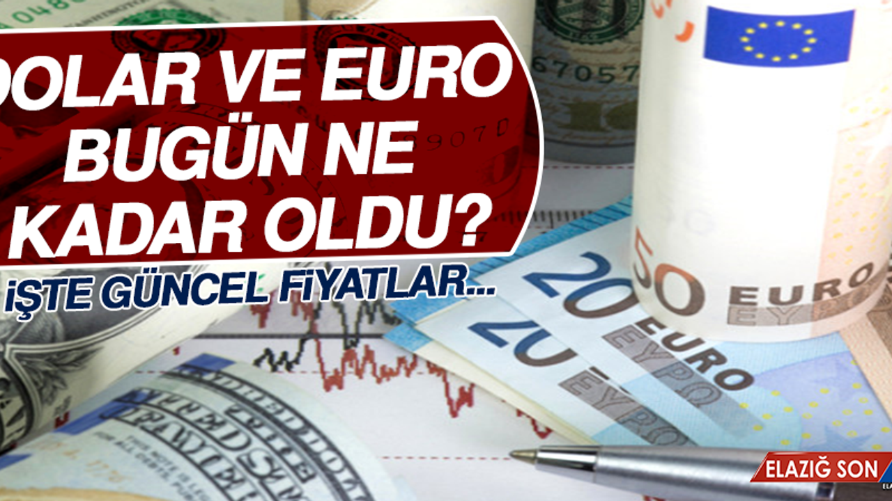 11 Şubat Dolar ve Euro Fiyatları