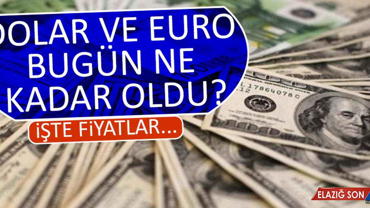 13 Şubat Dolar ve Euro Fiyatları