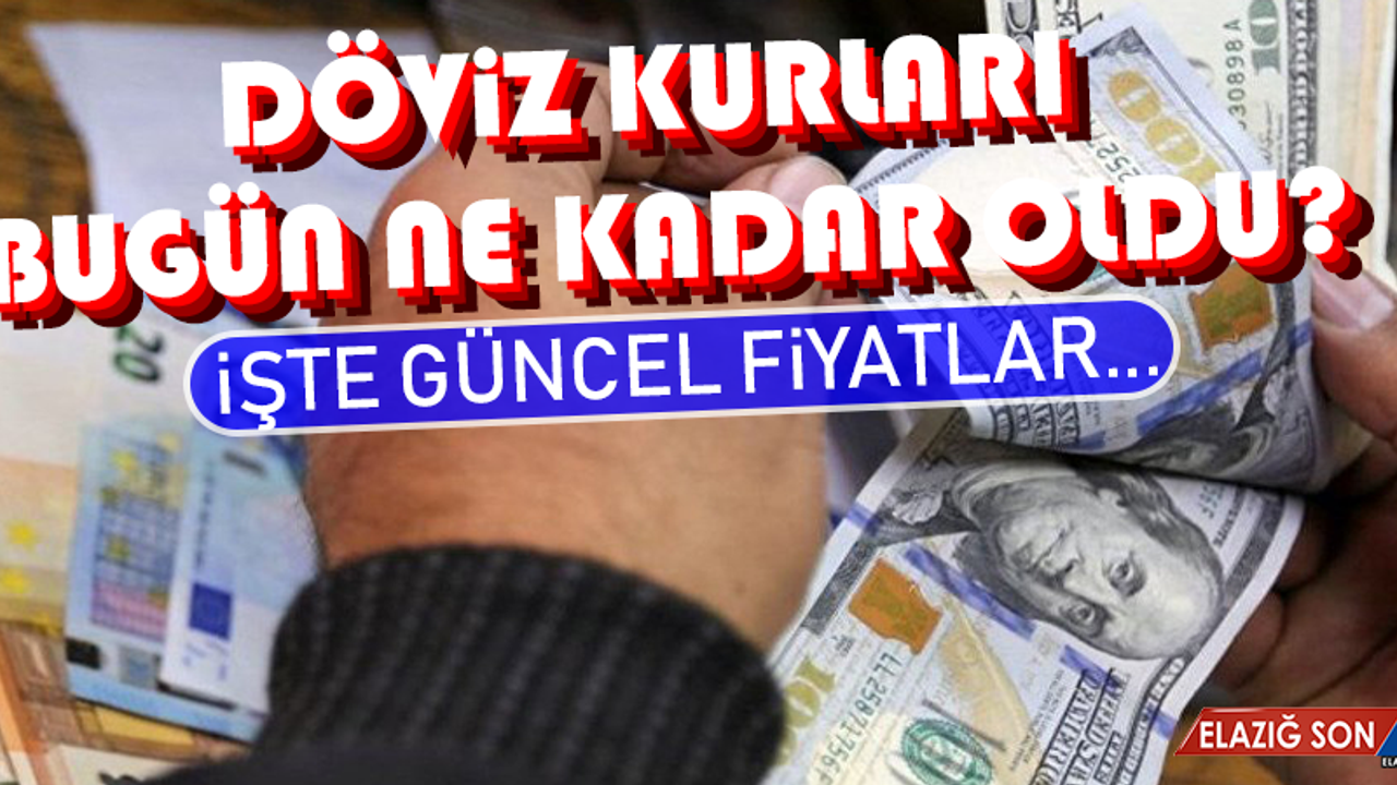 1 Şubat Dolar ve Euro Fiyatları