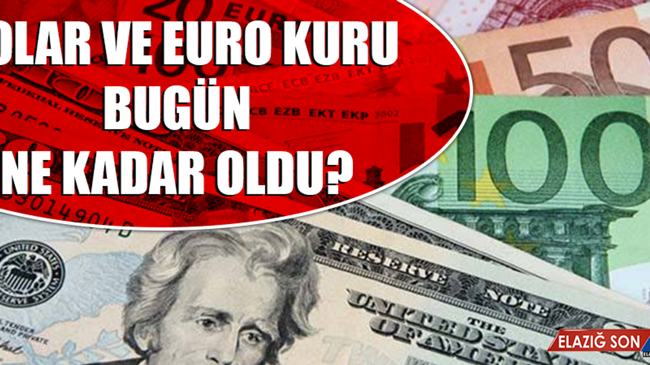 8 Şubat Dolar ve Euro Fiyatları